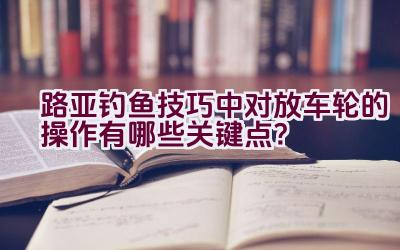 路亚钓鱼技巧中对放车轮的操作有哪些关键点？插图
