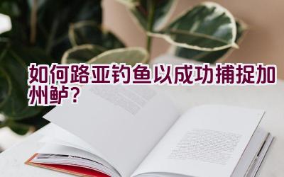 如何路亚钓鱼以成功捕捉加州鲈？插图