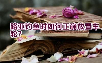路亚钓鱼时如何正确放置车轮？插图