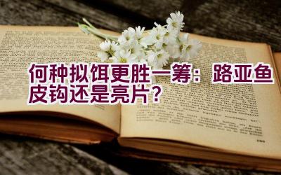 何种拟饵更胜一筹：路亚鱼皮钩还是亮片？插图