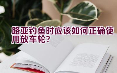 路亚钓鱼时应该如何正确使用放车轮？插图