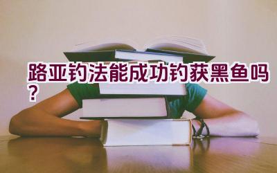路亚钓法能成功钓获黑鱼吗？插图