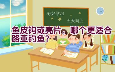 鱼皮钩或亮片，哪个更适合路亚钓鱼？插图