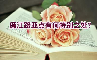 廉江路亚点有何特别之处？插图