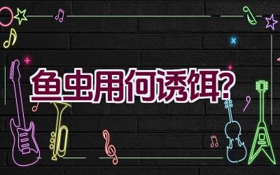 鱼虫用何诱饵？插图