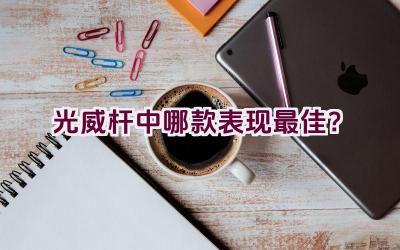 光威杆中哪款表现最佳？插图