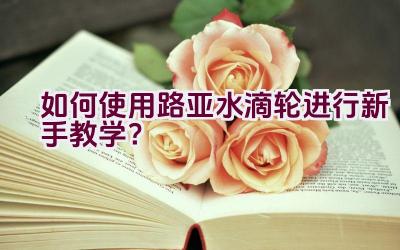 如何使用路亚水滴轮进行新手教学？插图