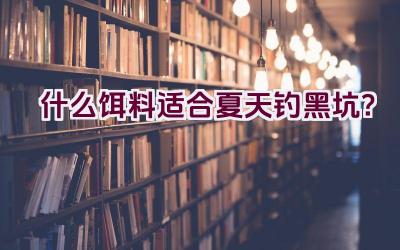什么饵料适合夏天钓黑坑？插图