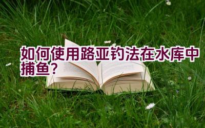 如何使用路亚钓法在水库中捕鱼？插图