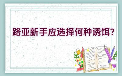 路亚新手应选择何种诱饵？插图