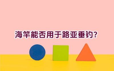 海竿能否用于路亚垂钓？插图