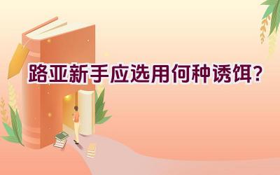 路亚新手应选用何种诱饵？插图