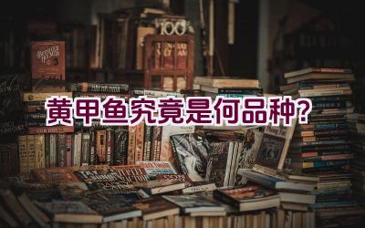 黄甲鱼究竟是何品种？插图