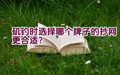 矶钓时选择哪个牌子的抄网更合适？插图
