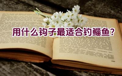 用什么钩子最适合钓鲻鱼？插图