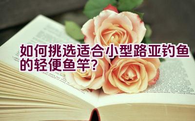 “如何挑选适合小型路亚钓鱼的轻便鱼竿？”插图