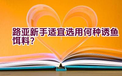 路亚新手适宜选用何种诱鱼饵料？插图