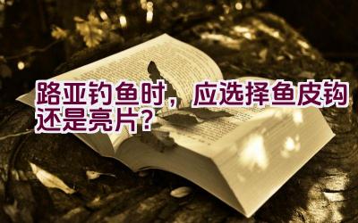 路亚钓鱼时，应选择鱼皮钩还是亮片？插图