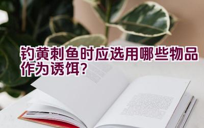 钓黄刺鱼时应选用哪些物品作为诱饵？插图