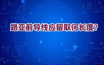 路亚前导线应留取何长度？插图