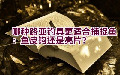 哪种路亚钓具更适合捕捉鱼：鱼皮钩还是亮片？插图