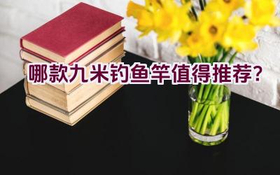 哪款九米钓鱼竿值得推荐？插图