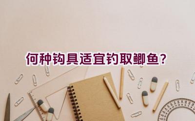 何种钩具适宜钓取鲫鱼？插图
