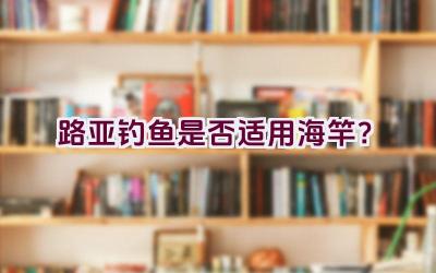 路亚钓鱼是否适用海竿？插图