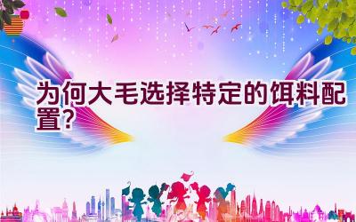为何大毛选择特定的饵料配置？插图