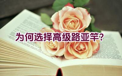 为何选择高级路亚竿？插图