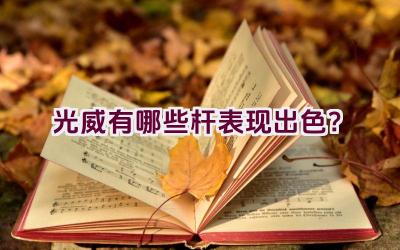光威有哪些杆表现出色？插图