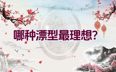 哪种漂型最理想？插图