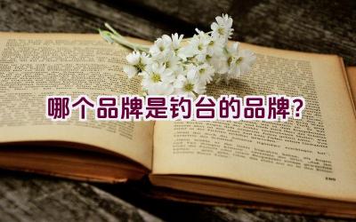 哪个品牌是钓台的品牌？插图