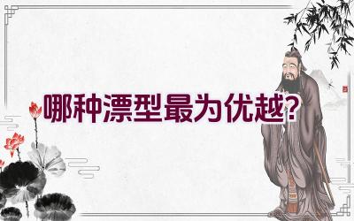 哪种漂型最为优越？插图