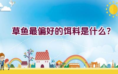 草鱼最偏好的饵料是什么？插图