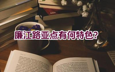 “廉江路亚点有何特色？”插图