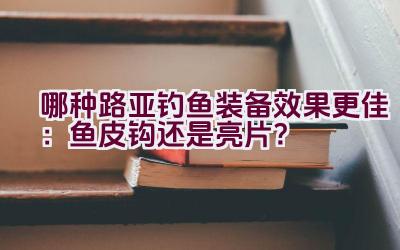 哪种路亚钓鱼装备效果更佳：鱼皮钩还是亮片？插图