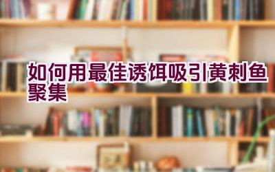 如何用最佳诱饵吸引黄刺鱼聚集插图