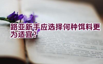 路亚新手应选择何种饵料更为适宜？插图