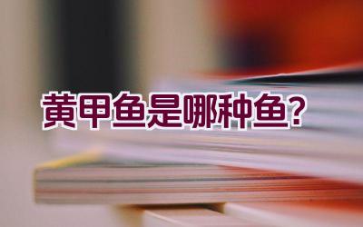 黄甲鱼是哪种鱼？插图