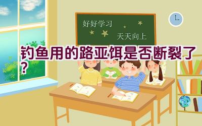 钓鱼用的路亚饵是否断裂了？插图