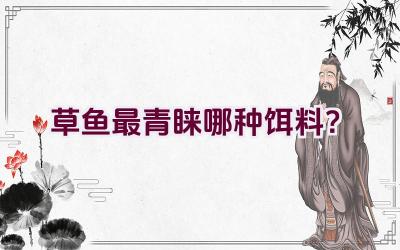 草鱼最青睐哪种饵料？插图