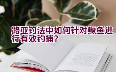 路亚钓法中如何针对鳜鱼进行有效钓捕？插图