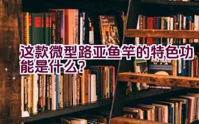 这款微型路亚鱼竿的特色功能是什么？插图