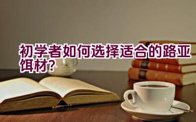 “初学者如何选择适合的路亚饵材？”插图