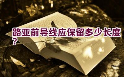 路亚前导线应保留多少长度？插图
