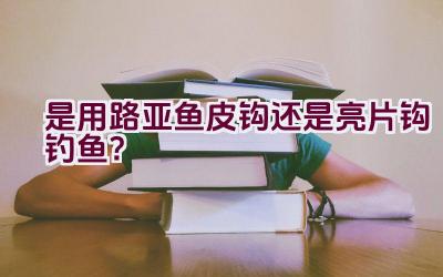 是用路亚鱼皮钩还是亮片钩钓鱼？插图