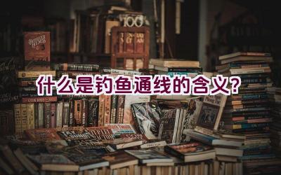“什么是’钓鱼通线’的含义？”插图