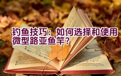 钓鱼技巧：如何选择和使用微型路亚鱼竿？插图