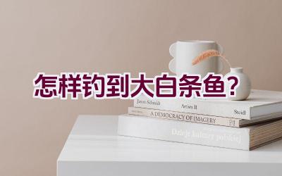 怎样钓到大白条鱼？插图